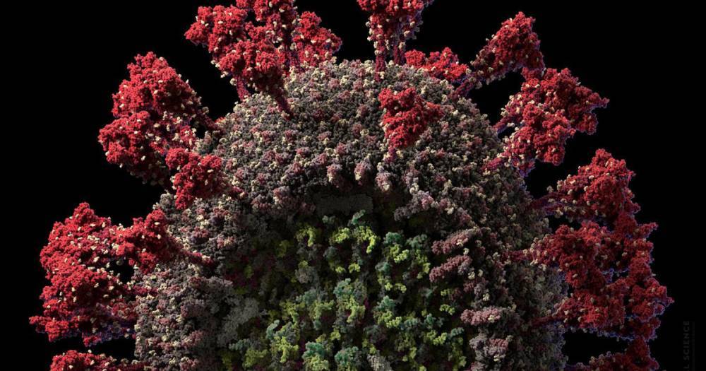 Ученые выяснили, помогает ли лучевая терапия при коронавирусе
