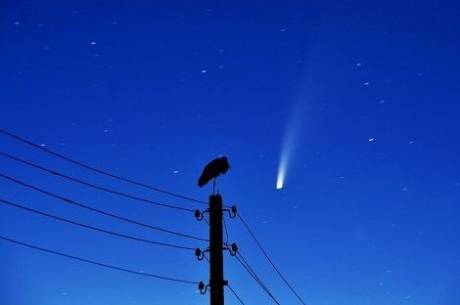 Фото дня: Аист и комета C/2020 F3 NEOWISE