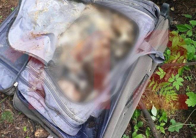 Женщина, найденная в чемодане под Москвой, пролежала в лесу три месяца