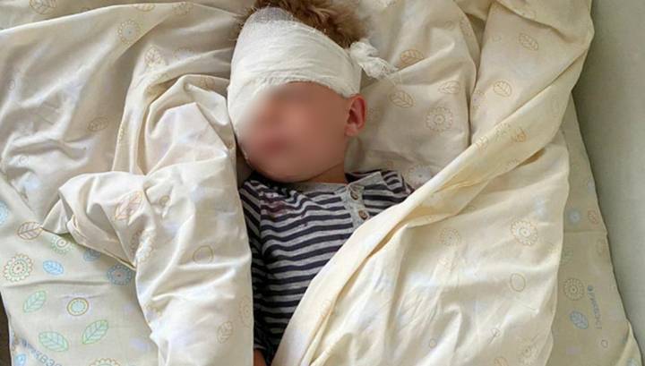 Инспекторы спасли мальчика со штырем в глазу, которого отказались принять в двух больницах Ленобласти