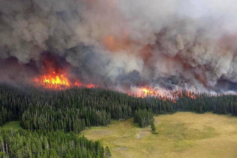 Пожары на территории России в этом году повторятся в еще больших масштабах – Greenpeace