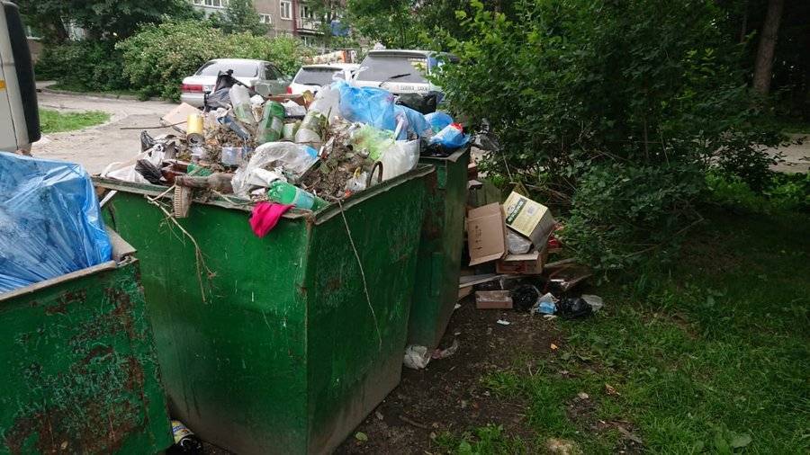 Администрация Южно-Сахалинска недовольна работой мусорного оператора