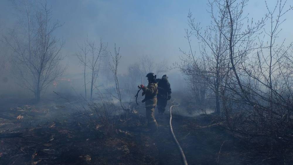 Пожарных-десантников отзывают из Красноярского края на Урал, где ЧС из-за лесных пожаров
