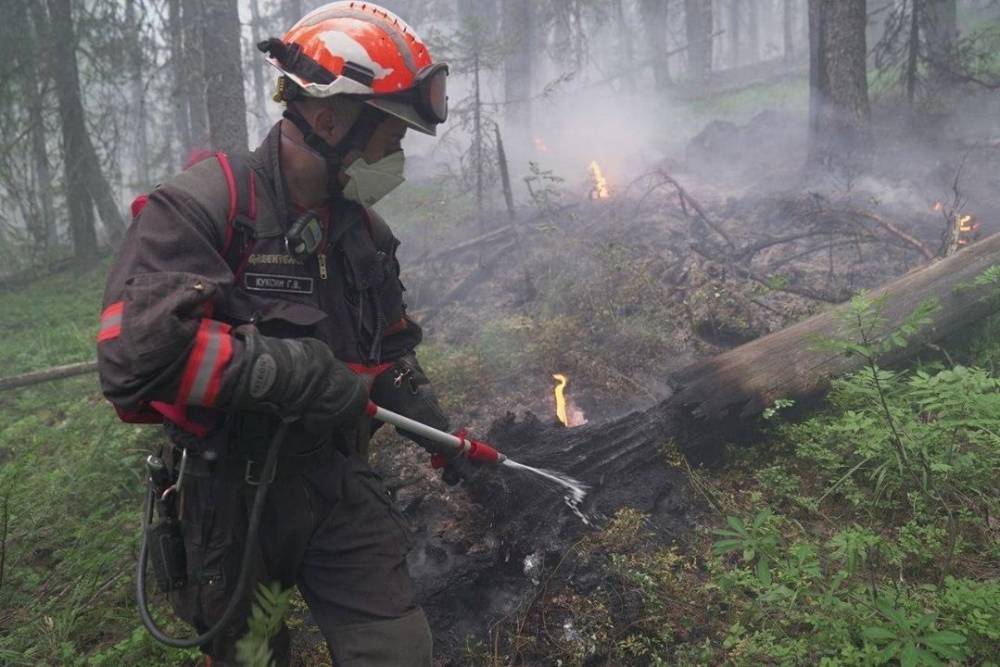 Площадь лесного пожара в заповеднике «Денежкин Камень» увеличилась до 19 гектаров
