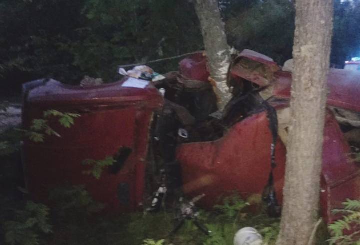 Водитель «Жигулей» врезался в дерево и погиб под Киришами