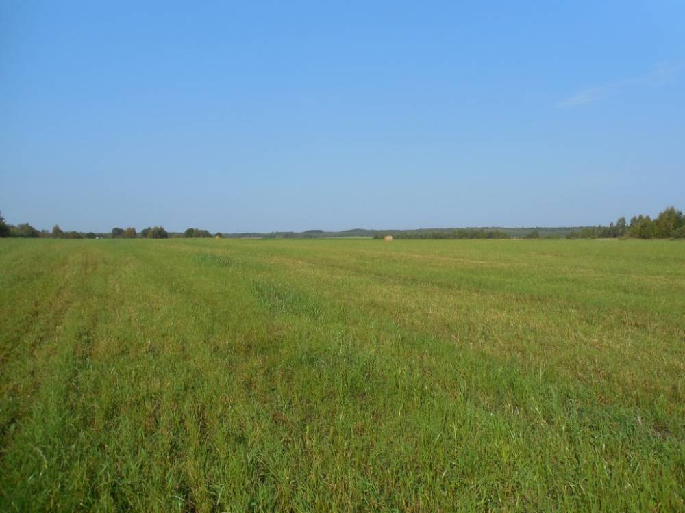В Конаковском районе введено в оборот свыше 30 гектаров сельхозугодий