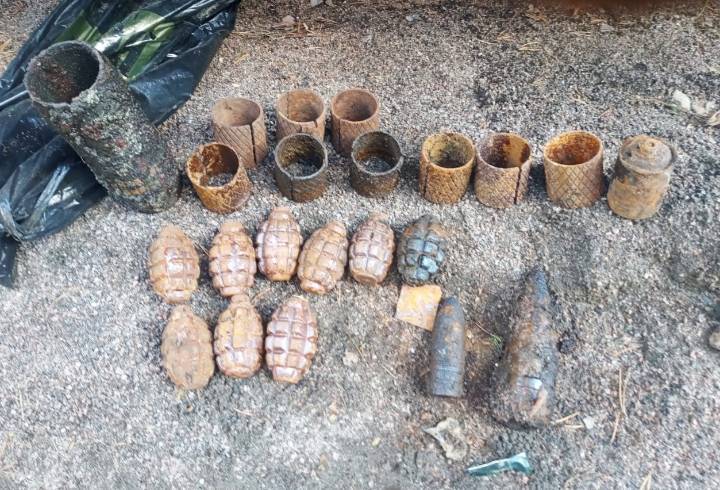 В лесу под Выборгом нашли гранаты и снаряды времен войны