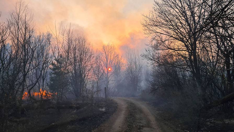 Площадь лесных пожаров в России уменьшилась до 18,5 тысячи га