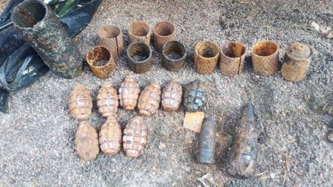 В лесу у поселка Гаврилова обнаружили военные боеприпасы