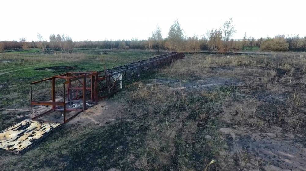 В Воронежской области мужчины сожгли 100 га леса, пытаясь спилить наблюдательную вышку