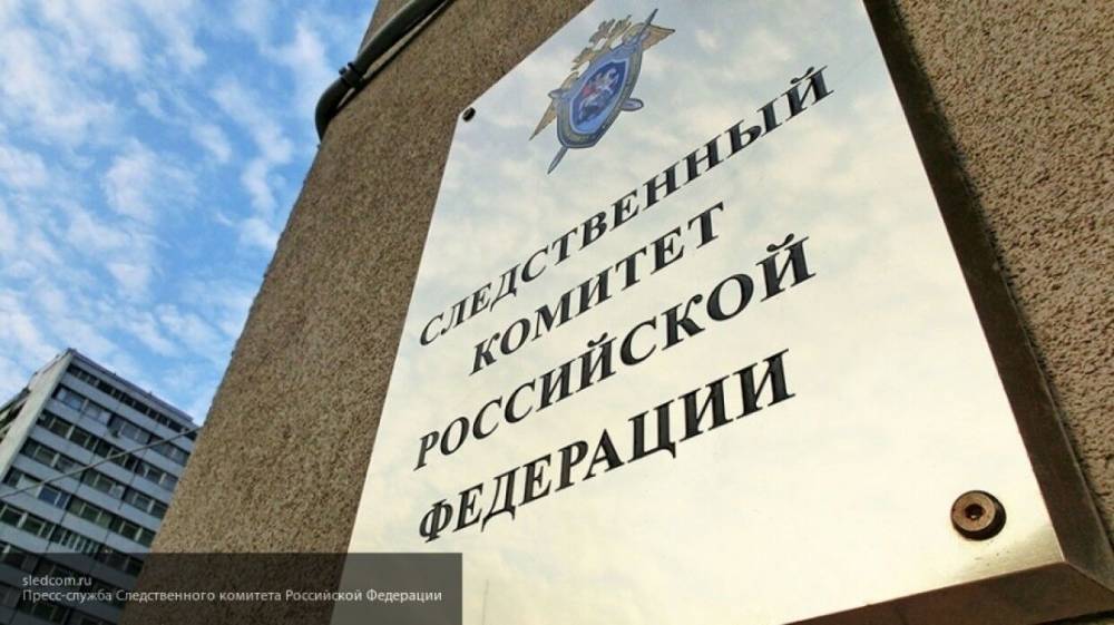 СК РФ подтвердил недостоверность информации о двойном гражданстве Мизулиной