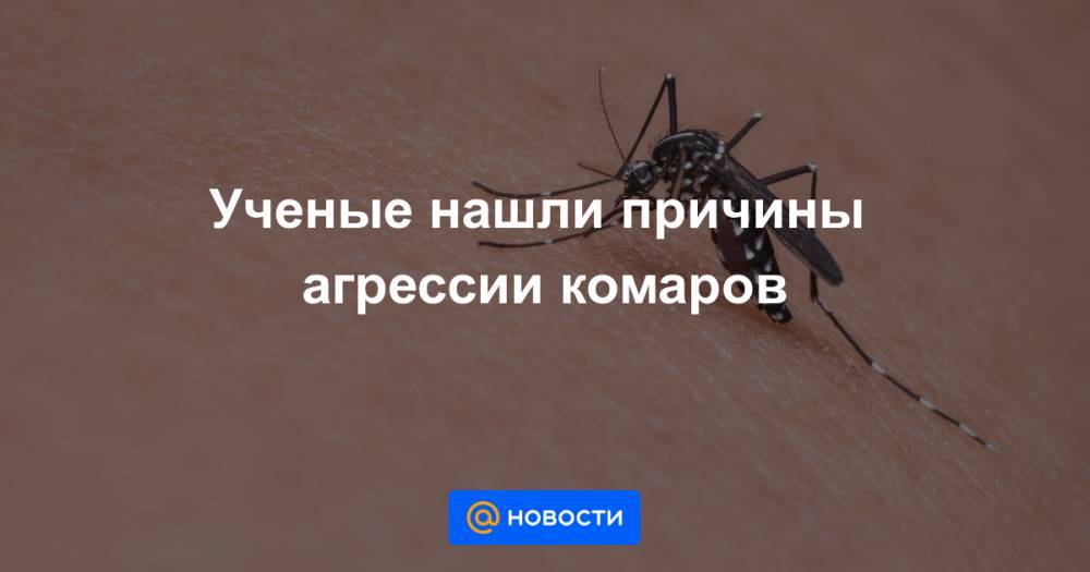Ученые нашли причины агрессии комаров
