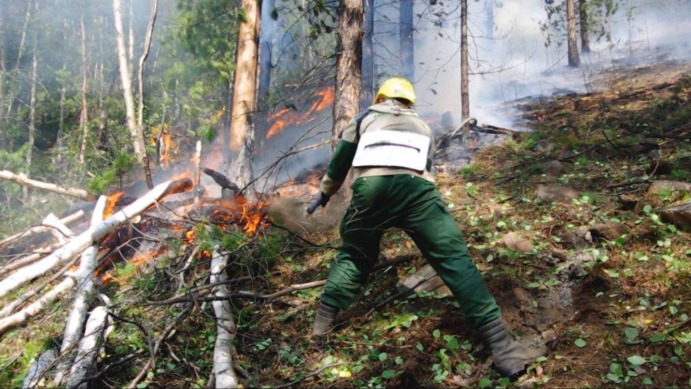 70 лесных пожаров ликвидировано за прошлые сутки.