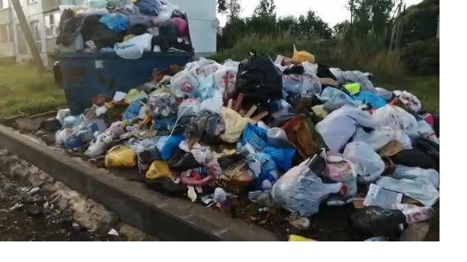 Жители Рождествено возмущены количеством мусора у сельской школы