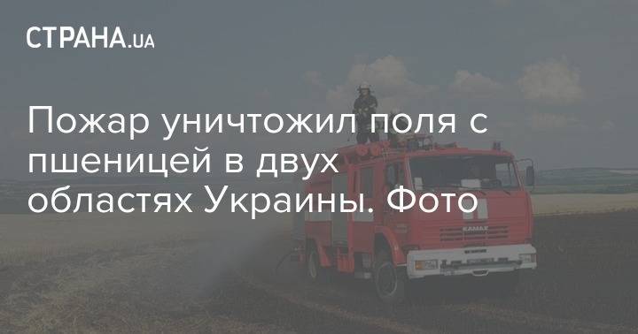 Пожар уничтожил поля с пшеницей в двух областях Украины. Фото