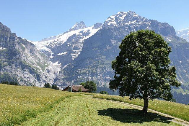 При крушении самолёта в Альпах погибли четыре человека – СМИ