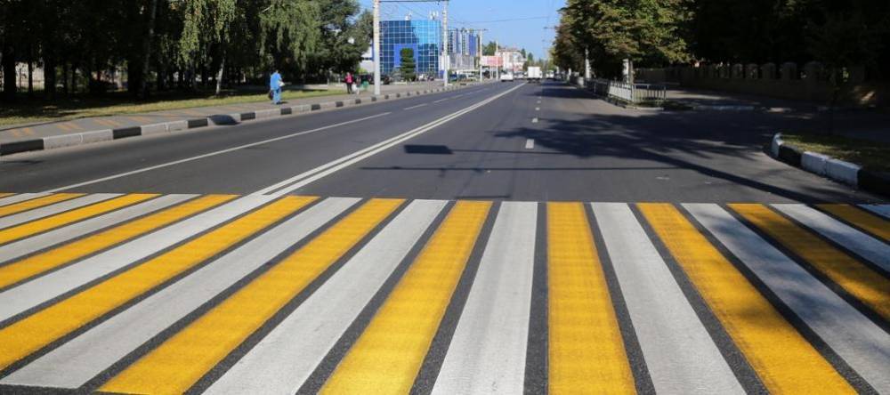 В Воронежской области две женщины погибли на пешеходном переходе под колесами иномарки