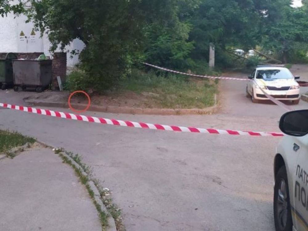 В Кропивницком дети играли с боевой гранатой – полиция