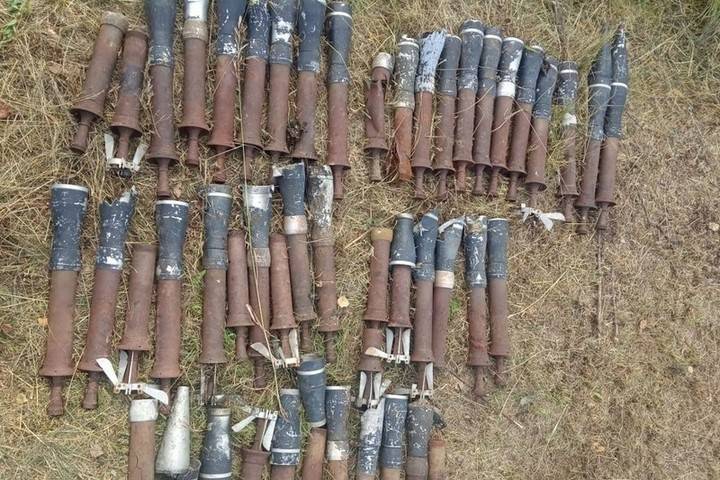 Росгвардейцы обследовали найденные в рязанском лесу боеприпасы
