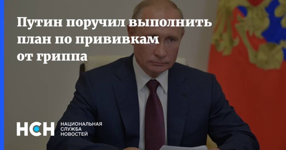 Путин поручил выполнить план по прививкам от гриппа