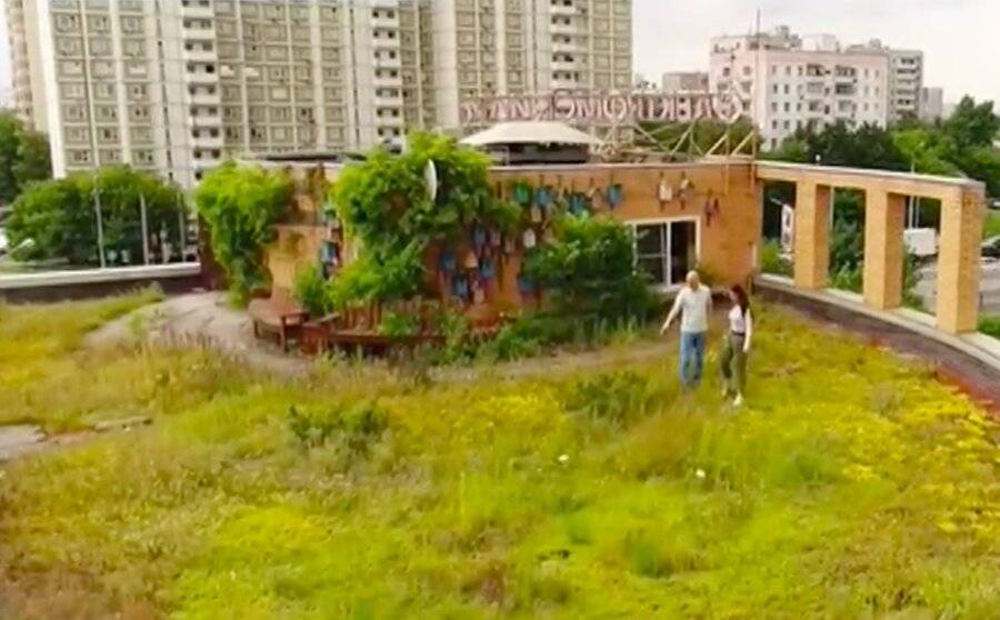 В Москве готовы размещать сады на крышах домов
