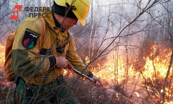 В лесах Красноярского края из-за пожаров установлен режим ЧС