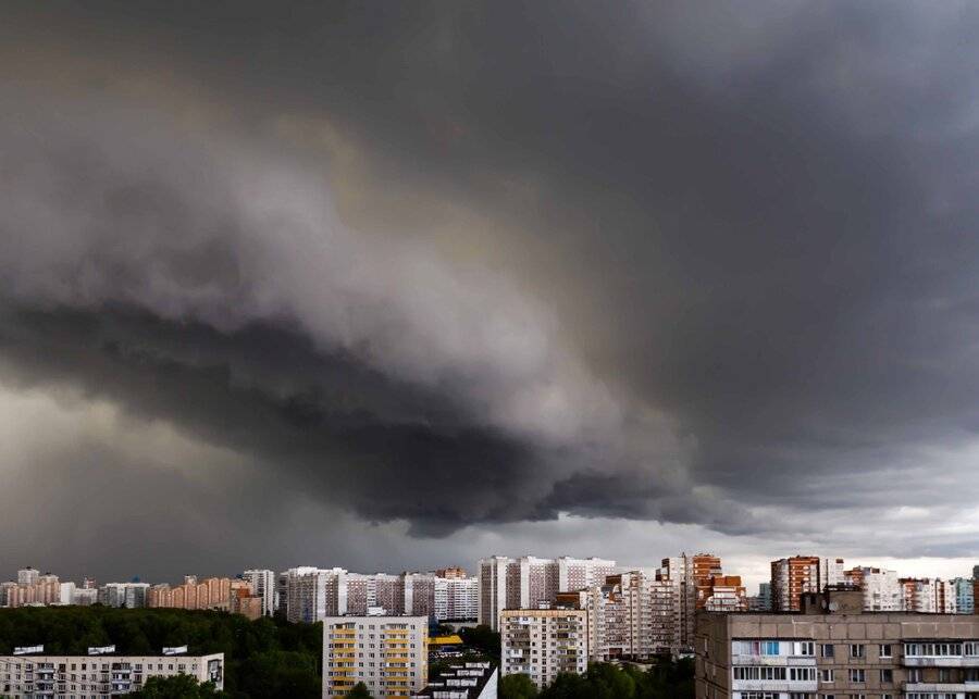 МЧС предупредило о грозе и сильном ветре в Подмосковье