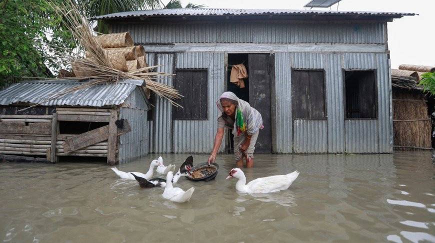 Более трети территории Бангладеш оказалось затопленной из-за наводнений