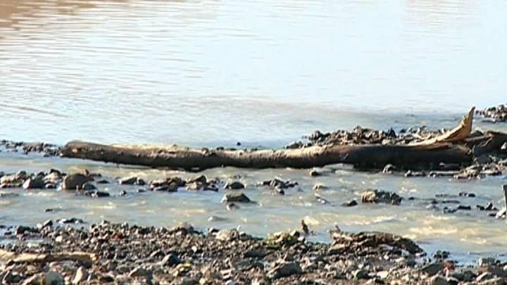 WWF России: самые загрязненные реки – в Амурской области