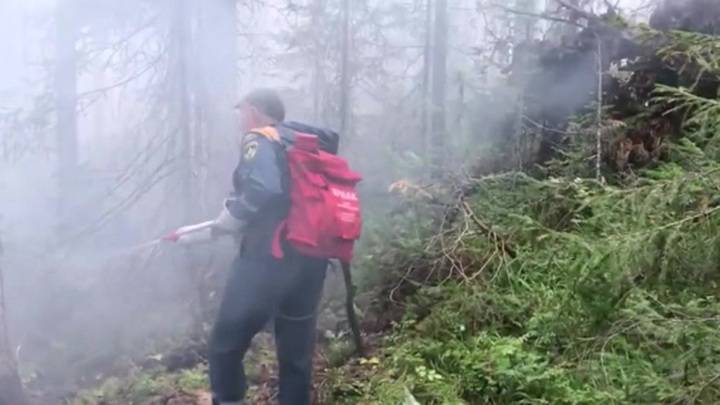 На территории Российской Федерации продолжают бушевать природные пожары