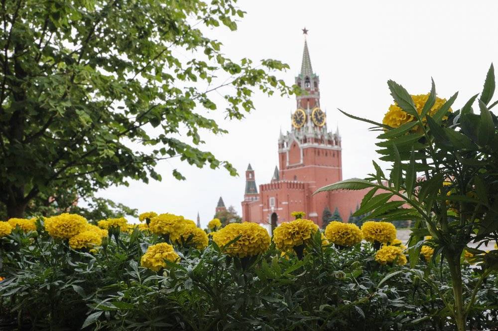 Кремль отверг сообщения о сворачивании переговоров по Донбассу