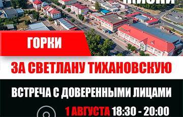 Стало известно, где в Могилевской области пройдут пикеты в поддержку Тихановской