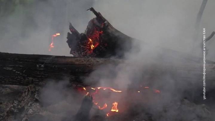 Новости на "России 24". Огонь пожирает гектары: Россия борется с лесными пожарами