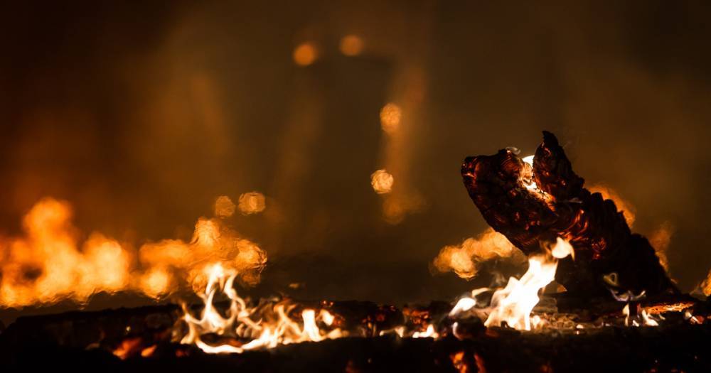 В Калининграде загорелся рыбно-консервный цех
