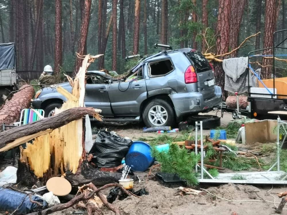 В Красноярском крае ветер повалил деревья на палатки: один погиб, пятеро пострадали