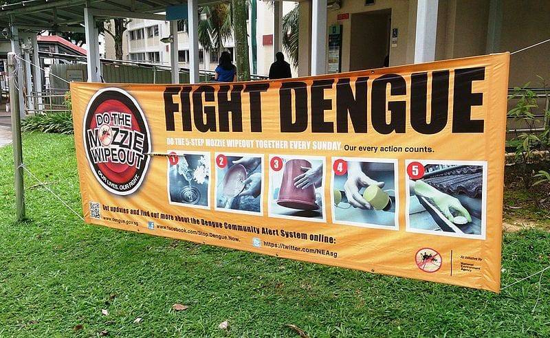 В Сингапуре приготовились к крупнейшей вспышке лихорадки денге - Cursorinfo: главные новости Израиля