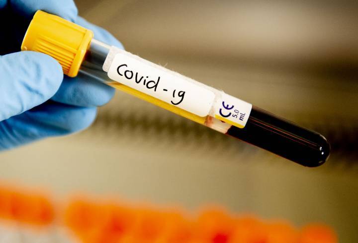 В Ленобласти выявили 53 новых случая коронавируса