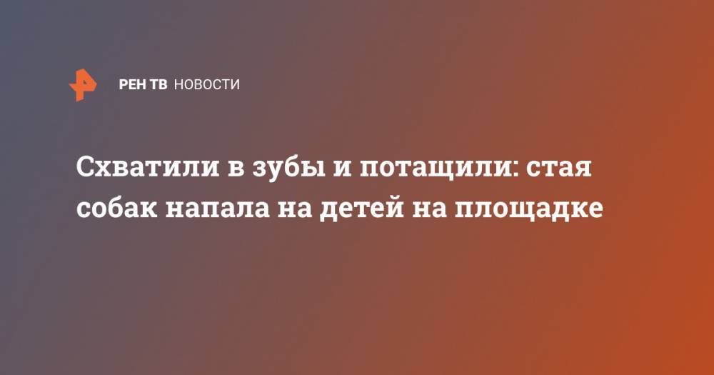 Схватили в зубы и потащили: стая собак напала на детей на площадке