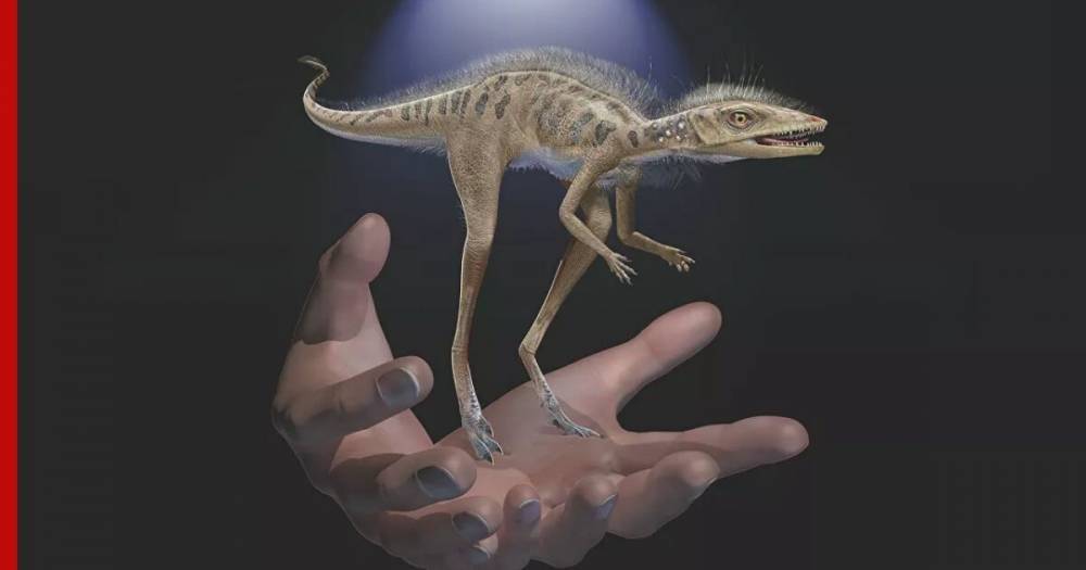 Ученые нашли скелет очень необычного динозавра