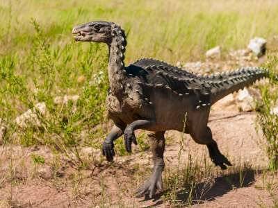 Крохотного предка динозавров обнаружили ученые