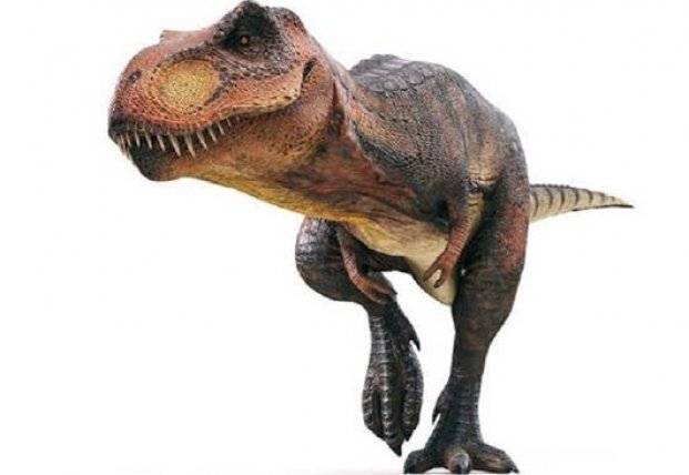 На Мадагаскаре обнаружили маленького предка динозавров