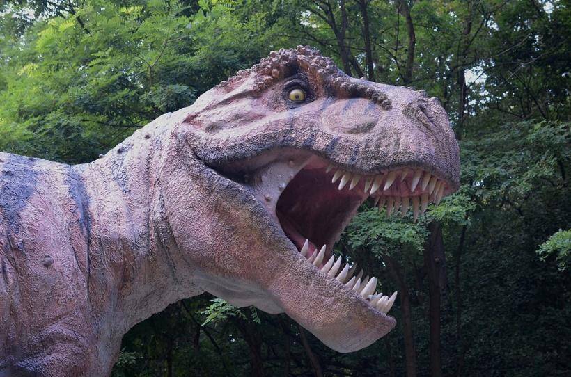 Учёные нашли на Мадагаскаре останки миниатюрного предка динозавра