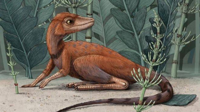 Гроза мух и жуков. Ученые нашли крошечного предка динозавров