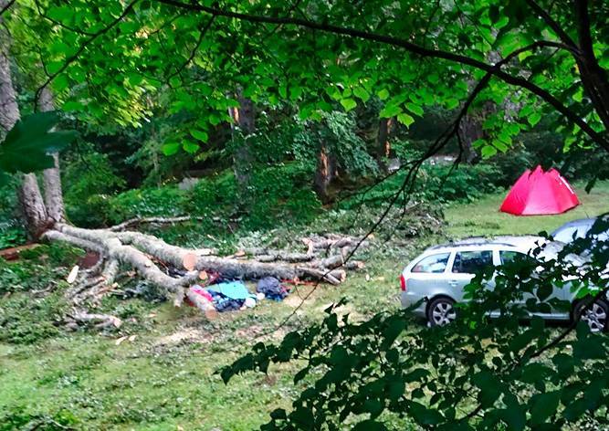 Гражданка Чехии погибла в Болгарии. На ее палатку упало дерево