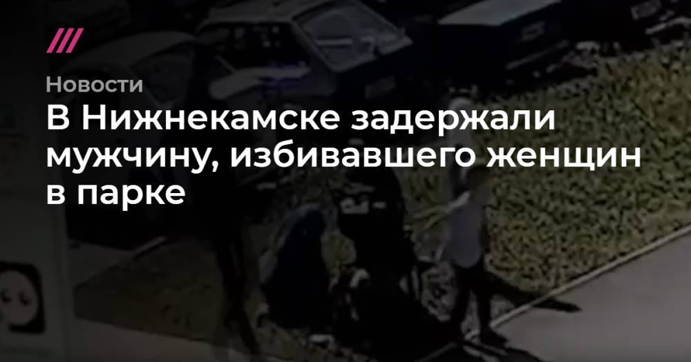 В Нижнекамске задержали мужчину, избивавшего женщин в парке