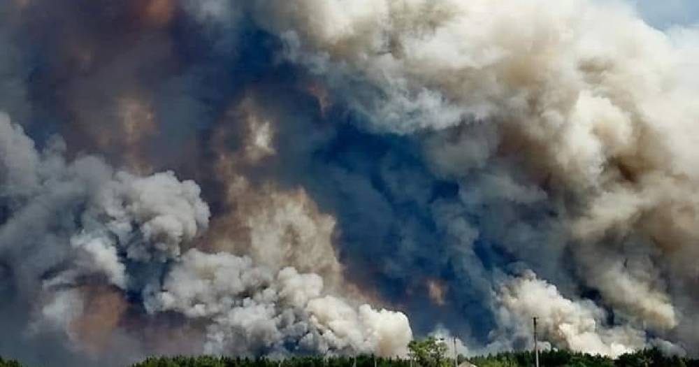 Зеленскому доложили, что мешает потушить масштабный лесной пожар в Луганской области (3 фото)