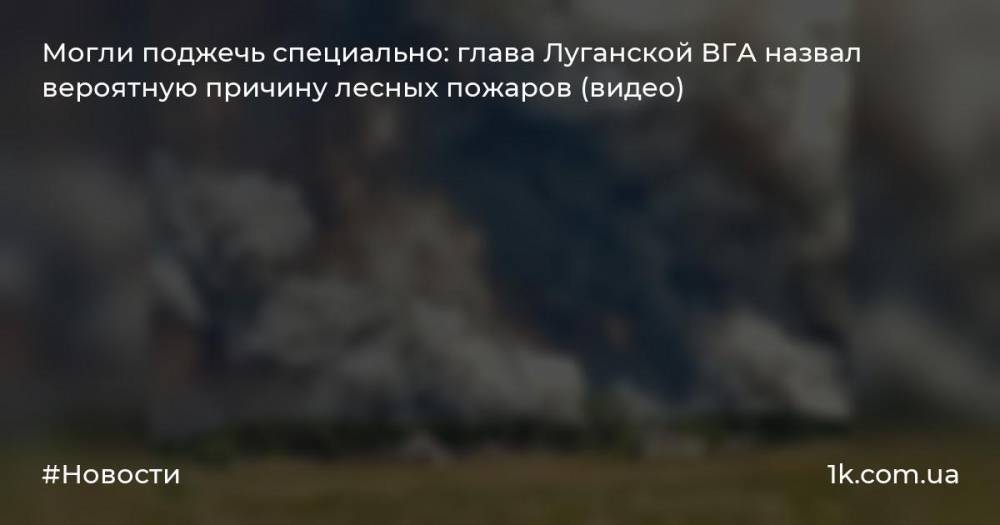 Могли поджечь специально: глава Луганской ВГА назвал вероятную причину лесных пожаров (видео)
