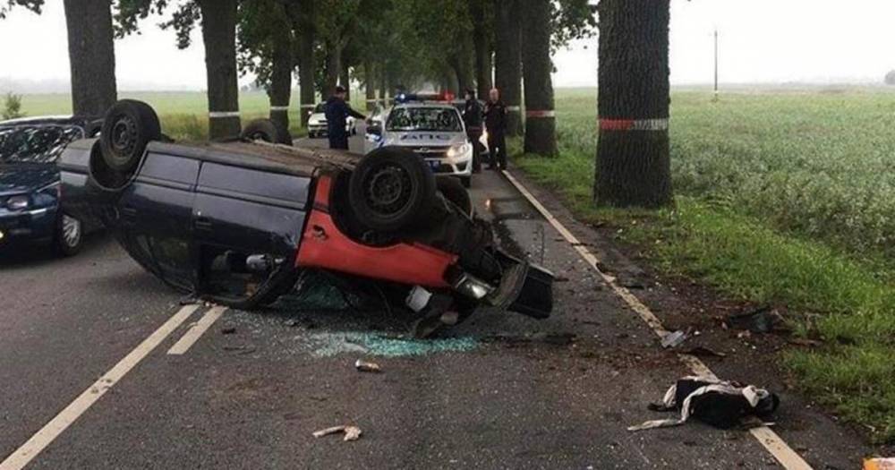 Под Нестеровом легковушка врезалась в дерево, пострадал 19-летний пассажир (фото, видео)