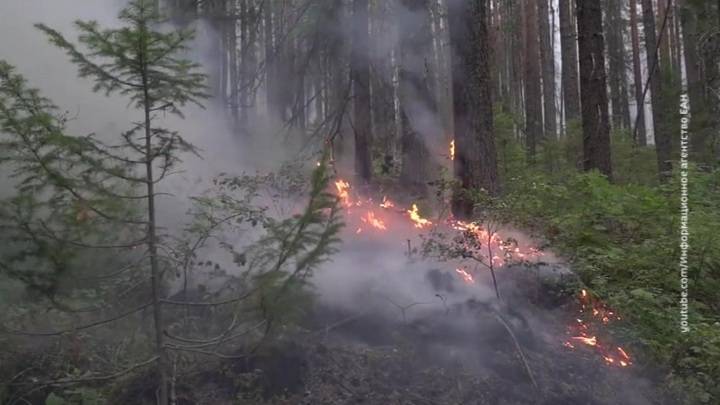 Крупный пожар в заповеднике "Тунгусский" тушат 25 парашютистов-десантников