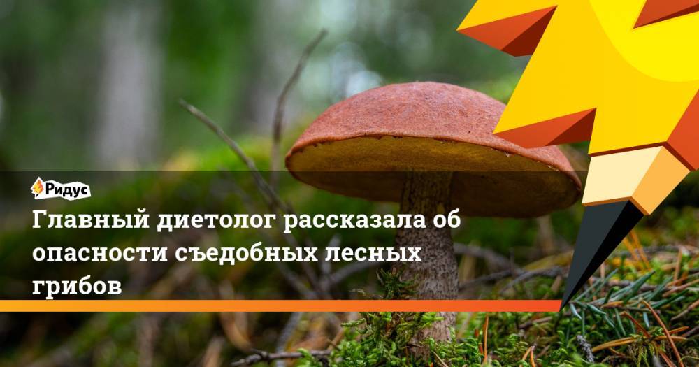 Главный диетолог рассказала об опасности съедобных лесных грибов